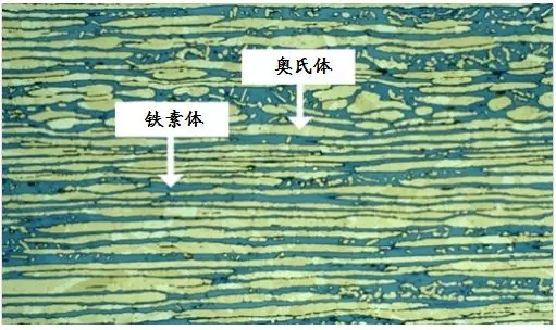 双相不锈钢金相显微组织